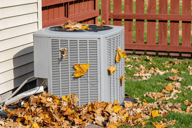 Best HVAC Cleaning Services  in Shady Hills, FL
